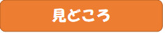 見どころ.png